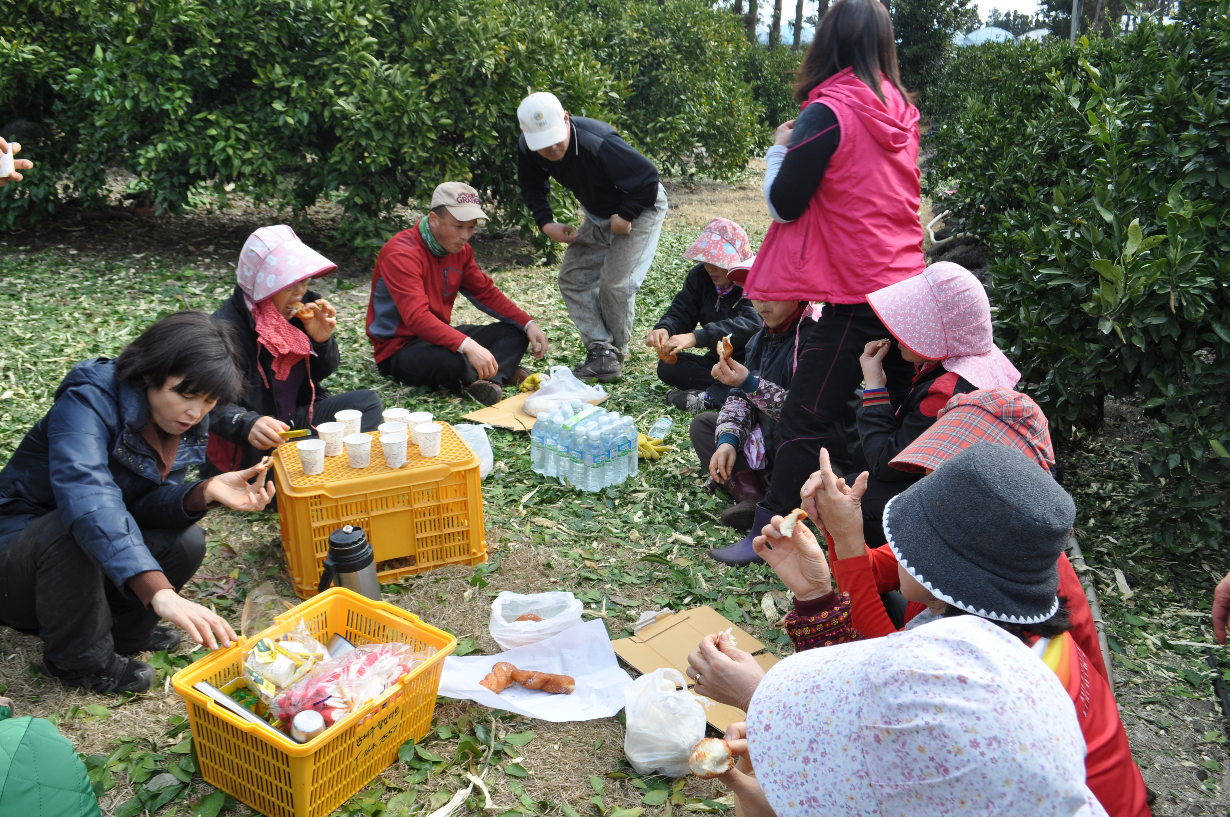 간벌봉사활동 중입니다!